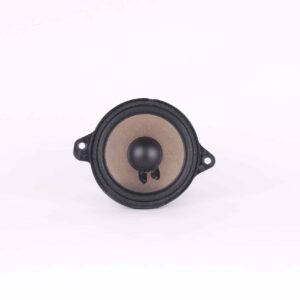 Enceinte    | 8S0 035 453